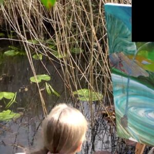 Connemara En Plein Air - Class - Recording - Week 4